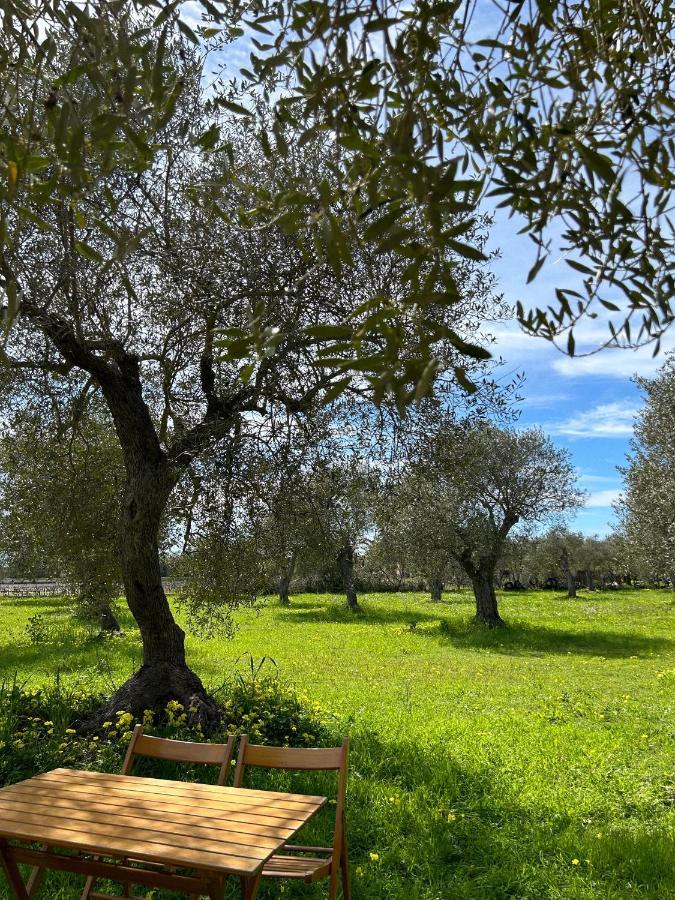 Casa Del Mate Villa Alghero Eksteriør bilde
