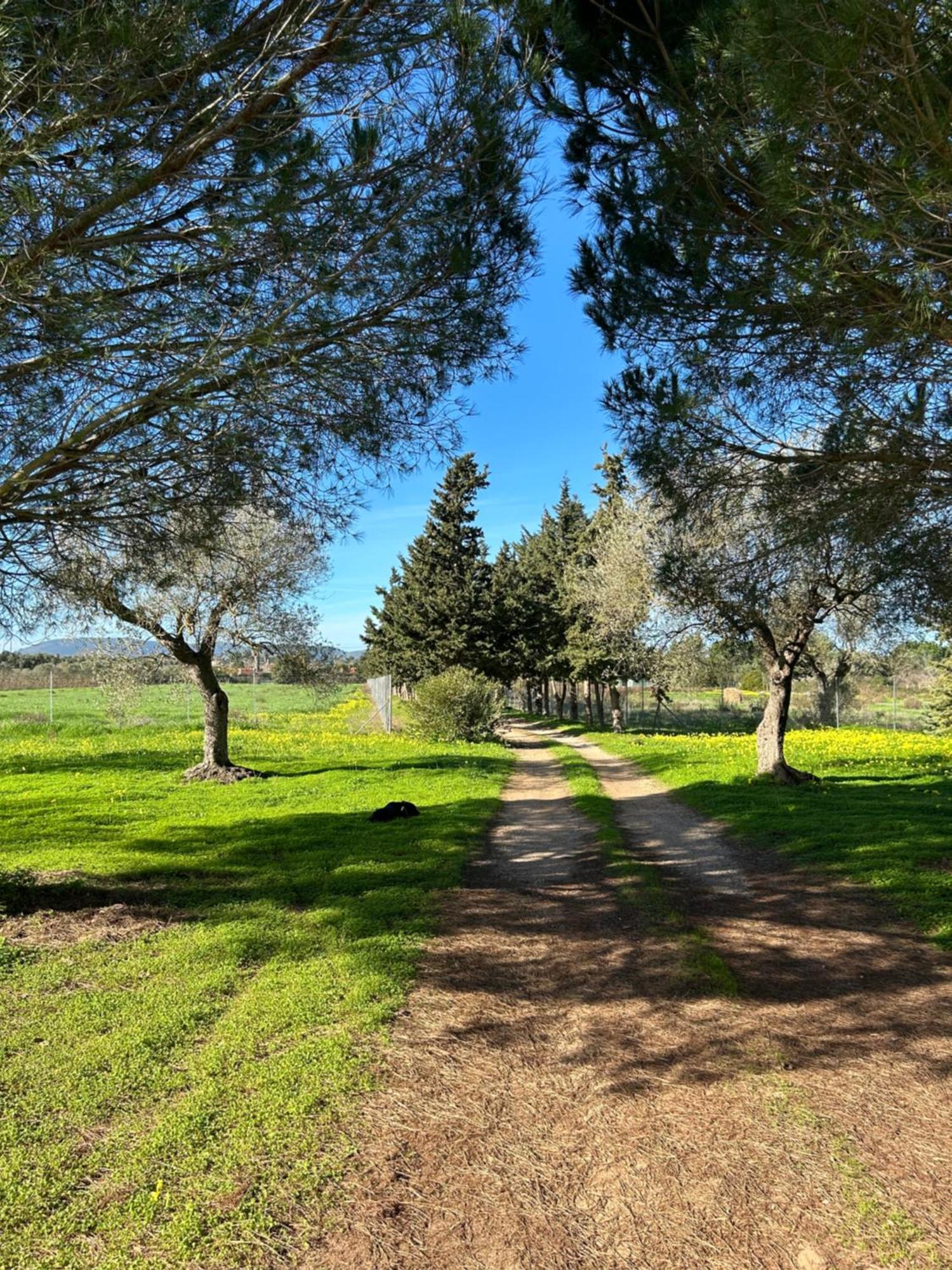 Casa Del Mate Villa Alghero Eksteriør bilde